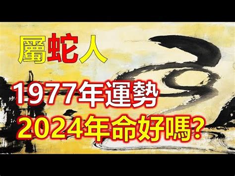 1977年農曆|1977年年歷,通勝,農民曆,農曆,黃歷,節氣,節日